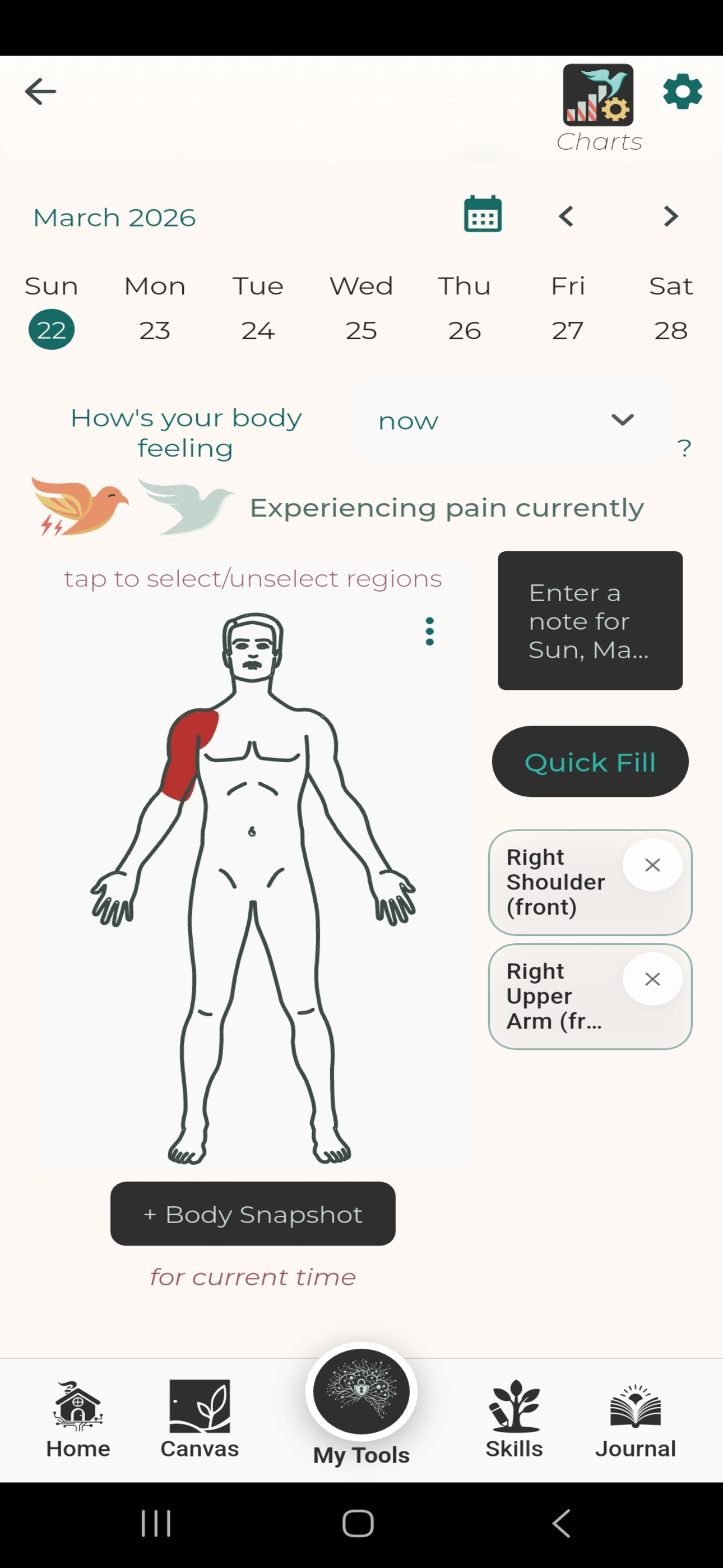 Interactive body pain mapping
