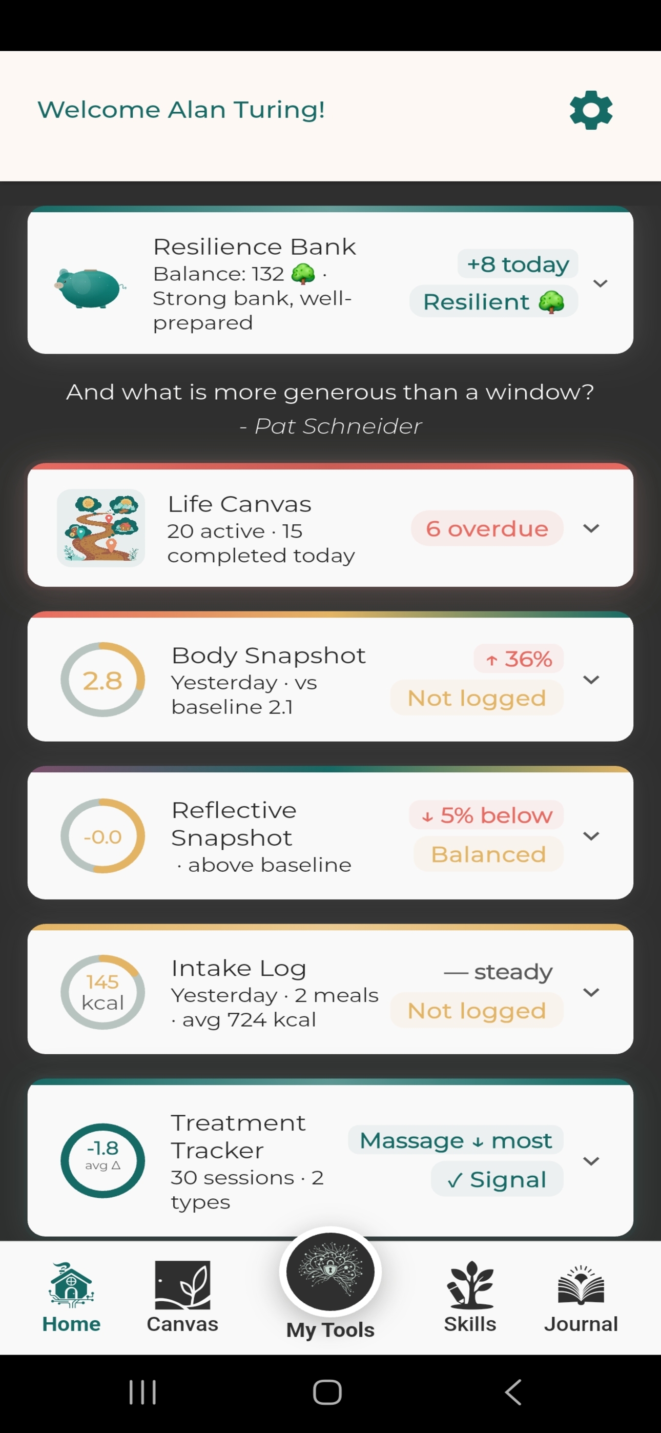 Home dashboard with Resilience Bank