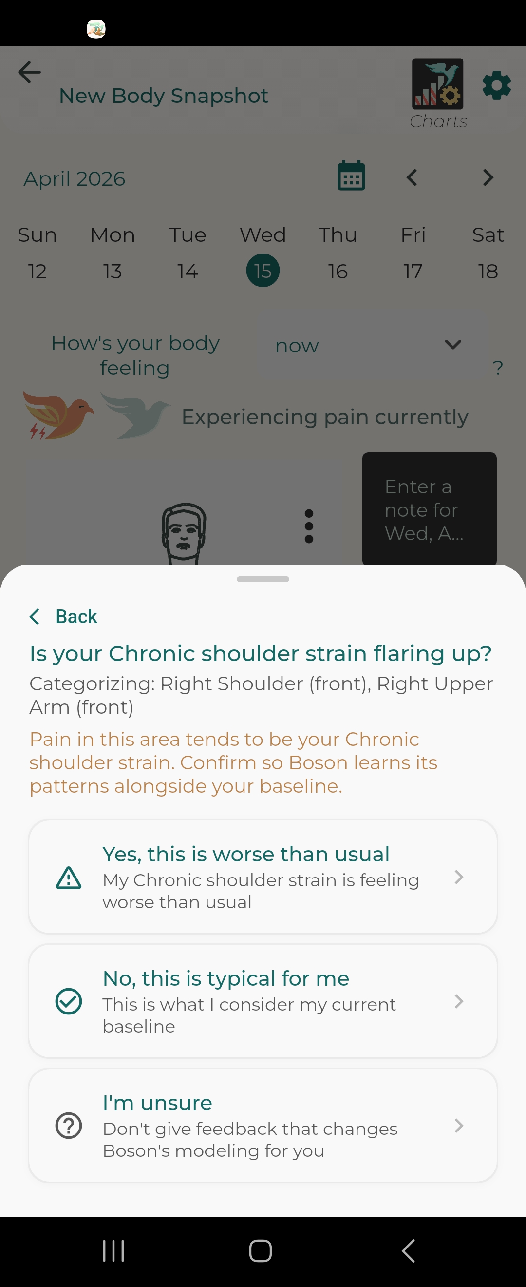 Boson detects chronic shoulder strain flare