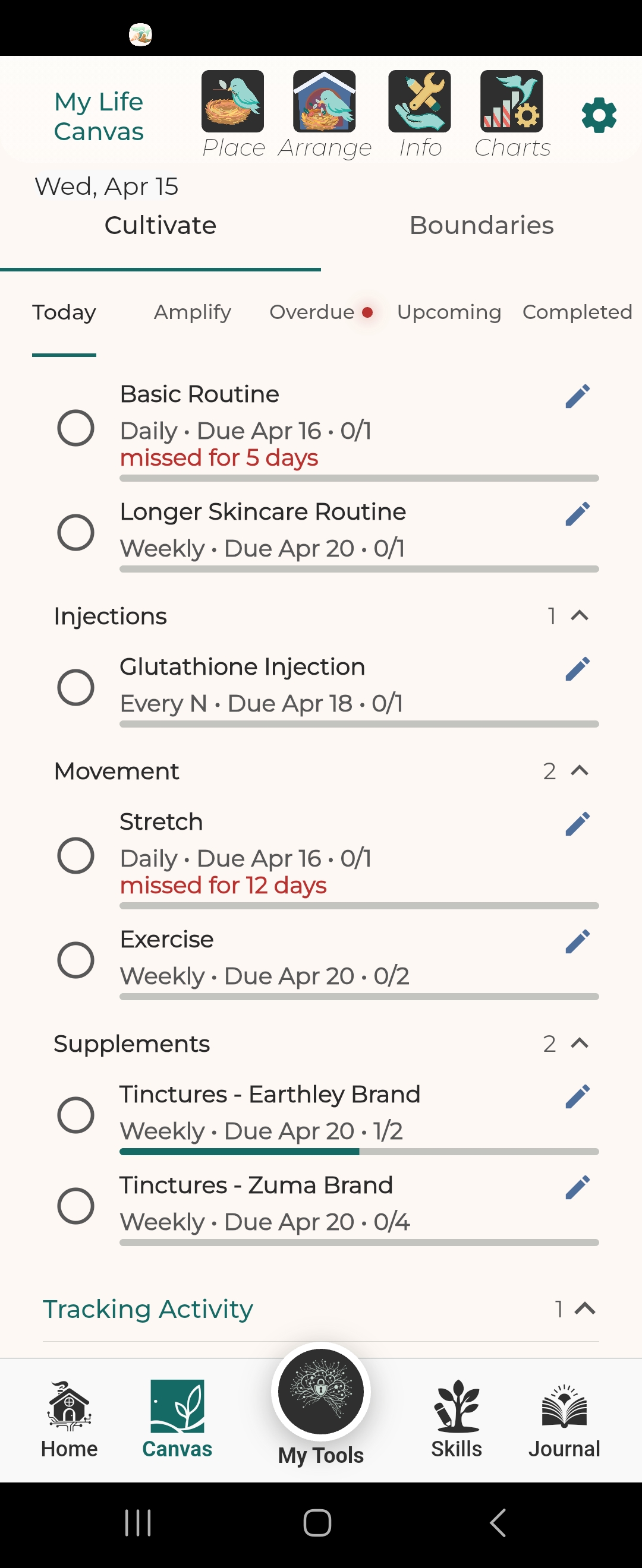 Life Canvas with skincare, movement, supplements