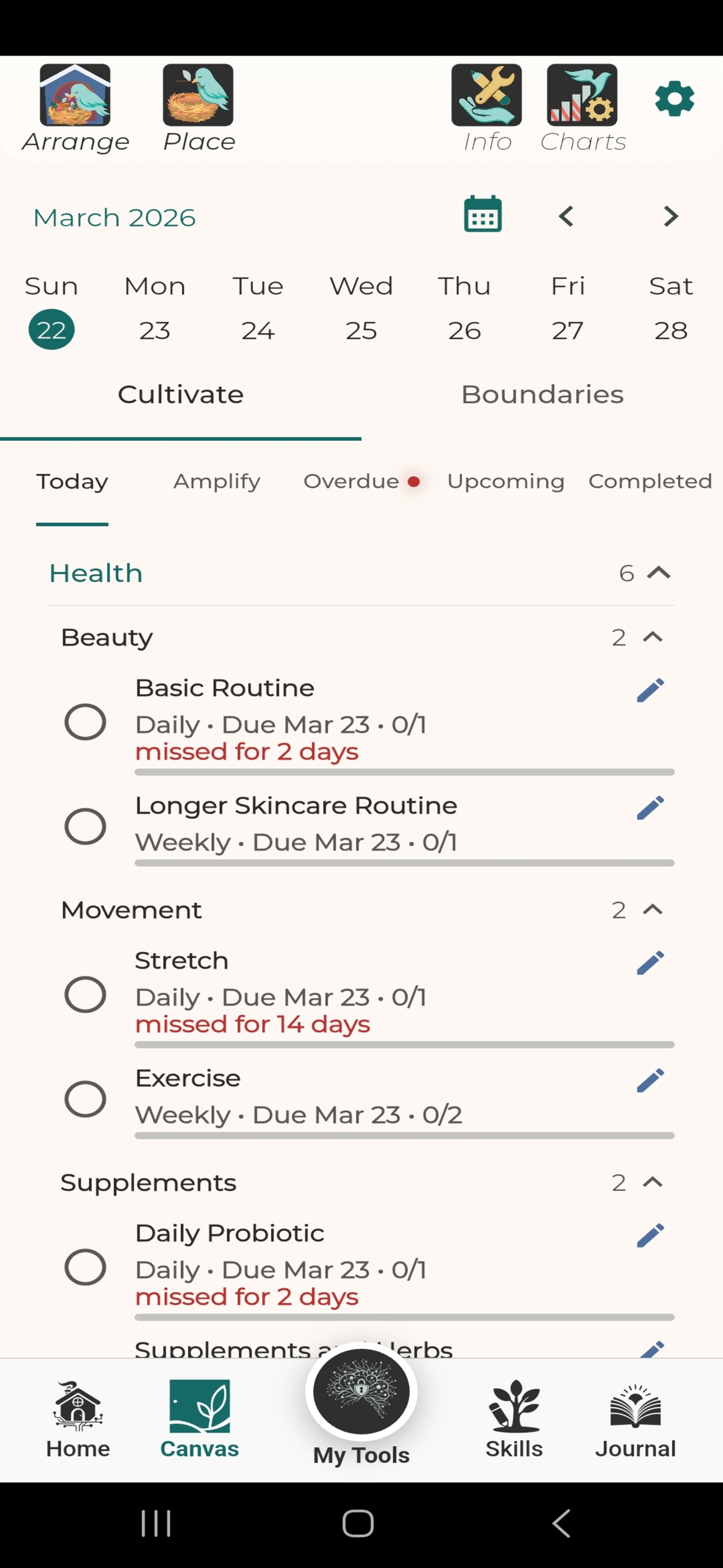 Life Canvas goals and habits